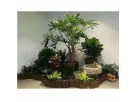 綠植案例